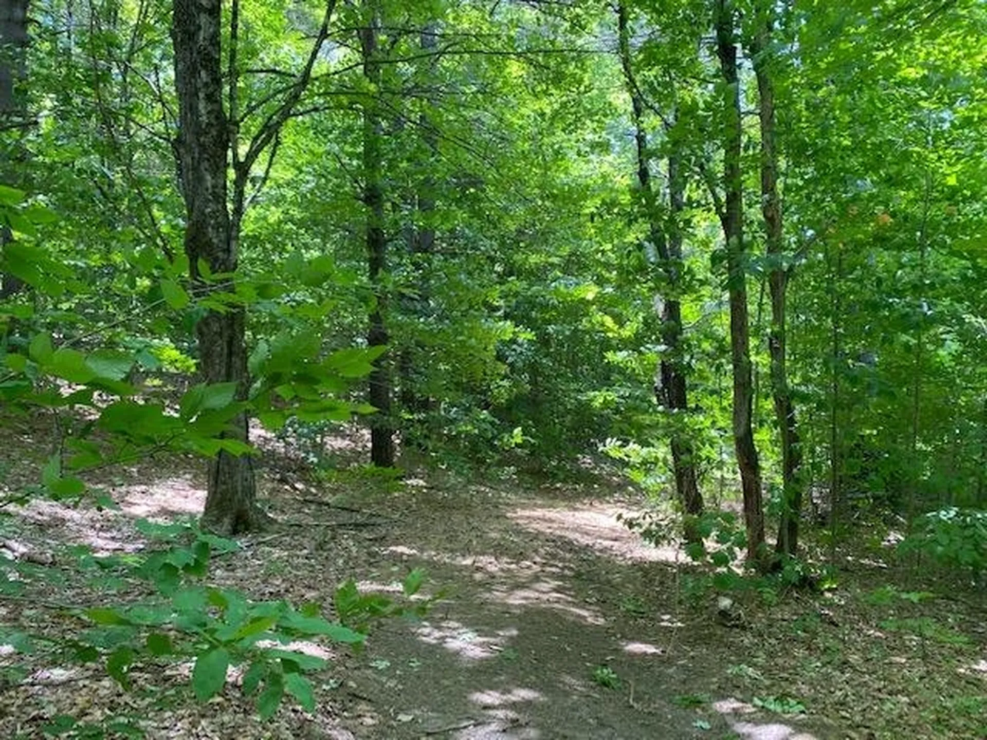 3438 Royalton Turnpike Barnard VT 05068