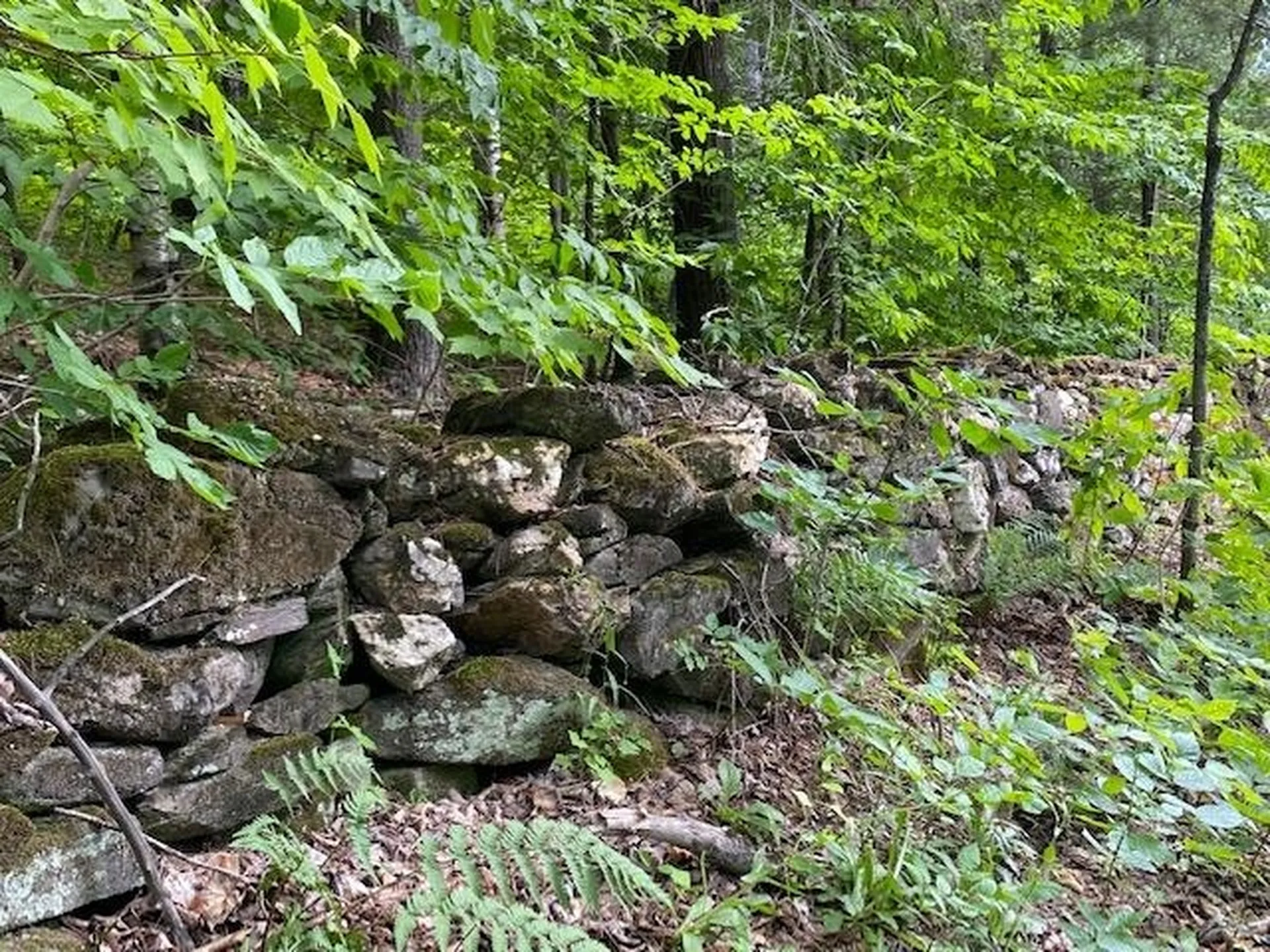 3438 Royalton Turnpike Barnard VT 05068