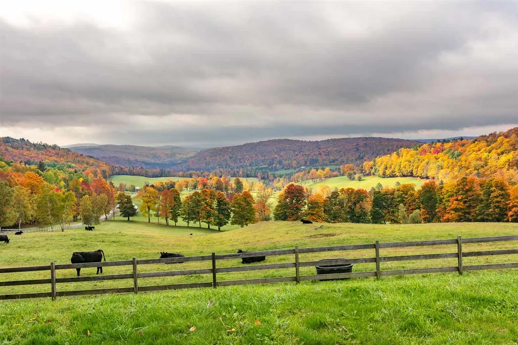 416 Brook Road Chelsea VT 05038