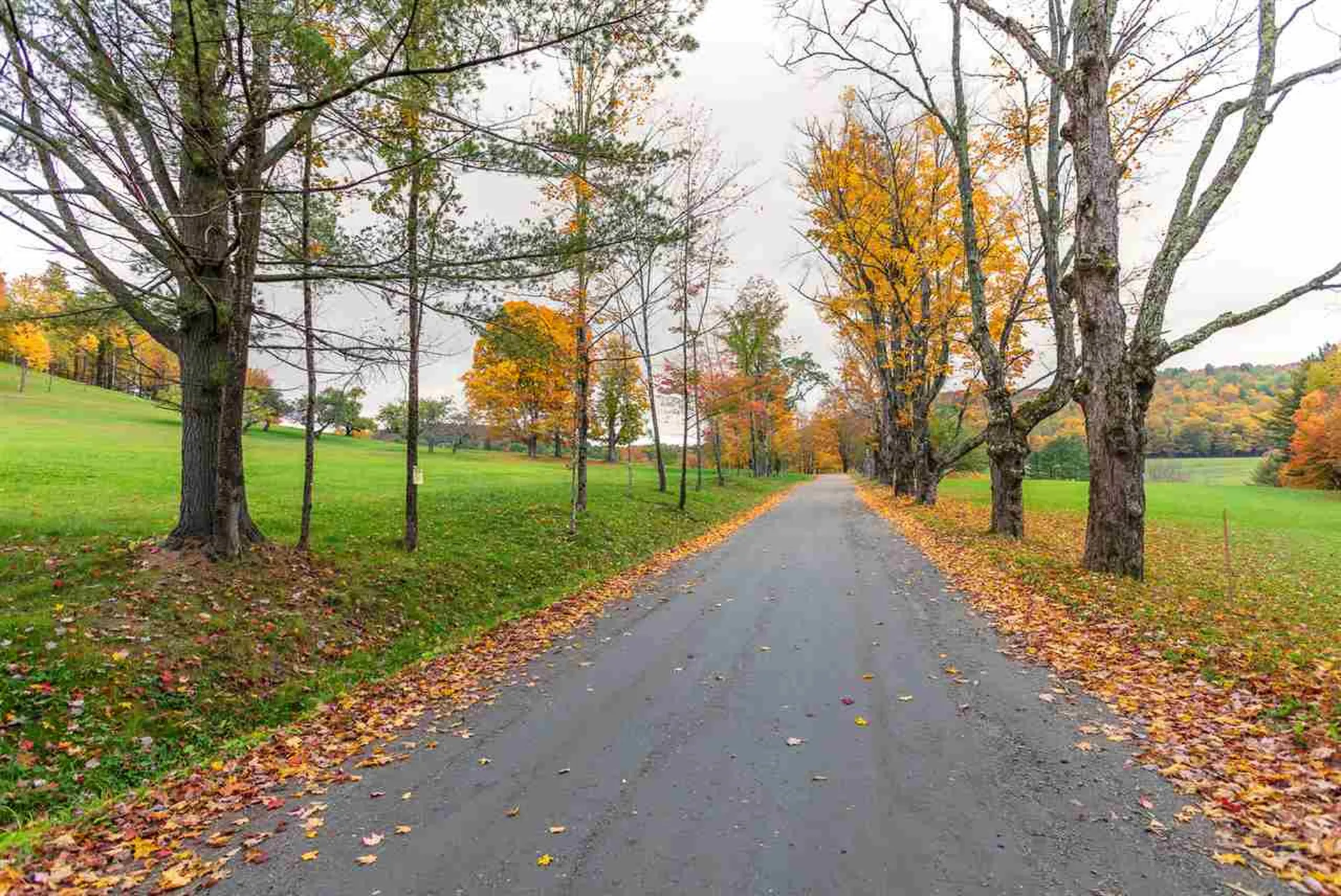 416 Brook Road Chelsea VT 05038
