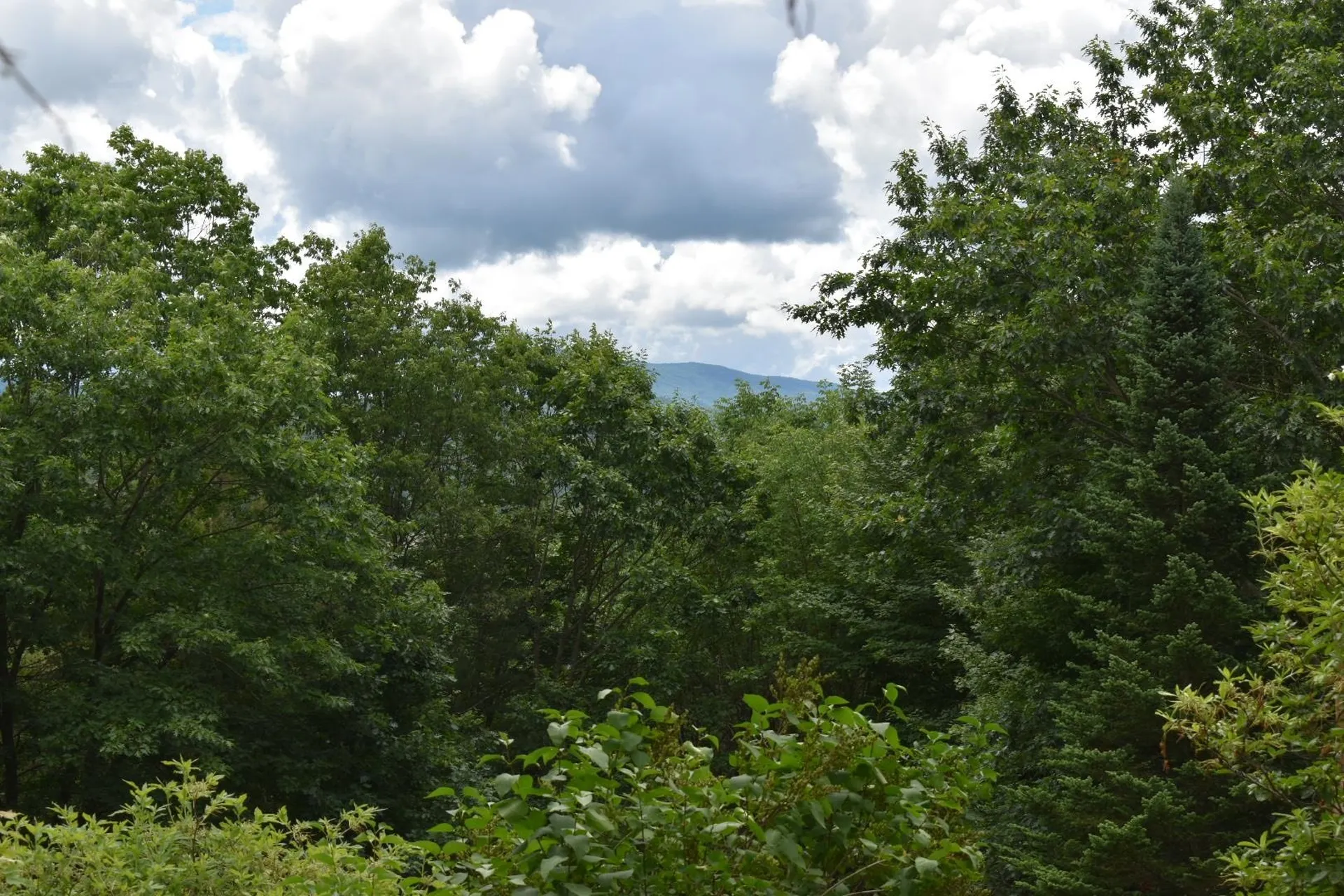 1084 Fairground Road Bradford VT 05040