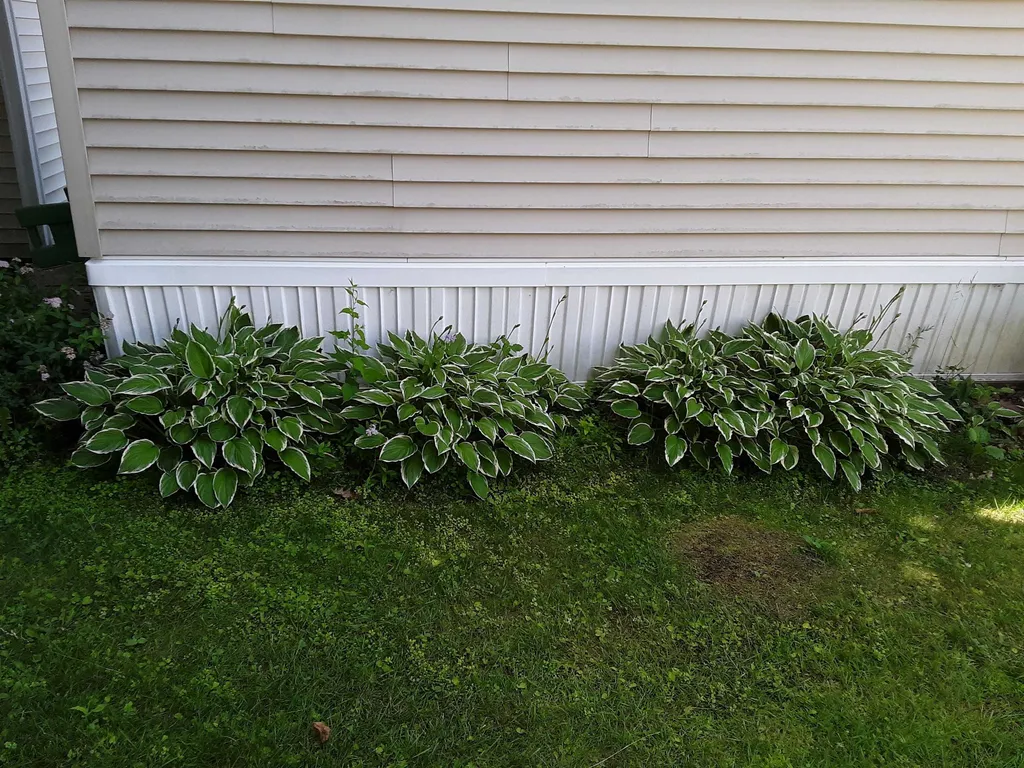 55 Lower B Street Lebanon NH 03766