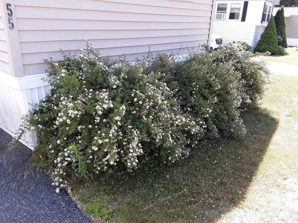 55 Lower B Street Lebanon NH 03766