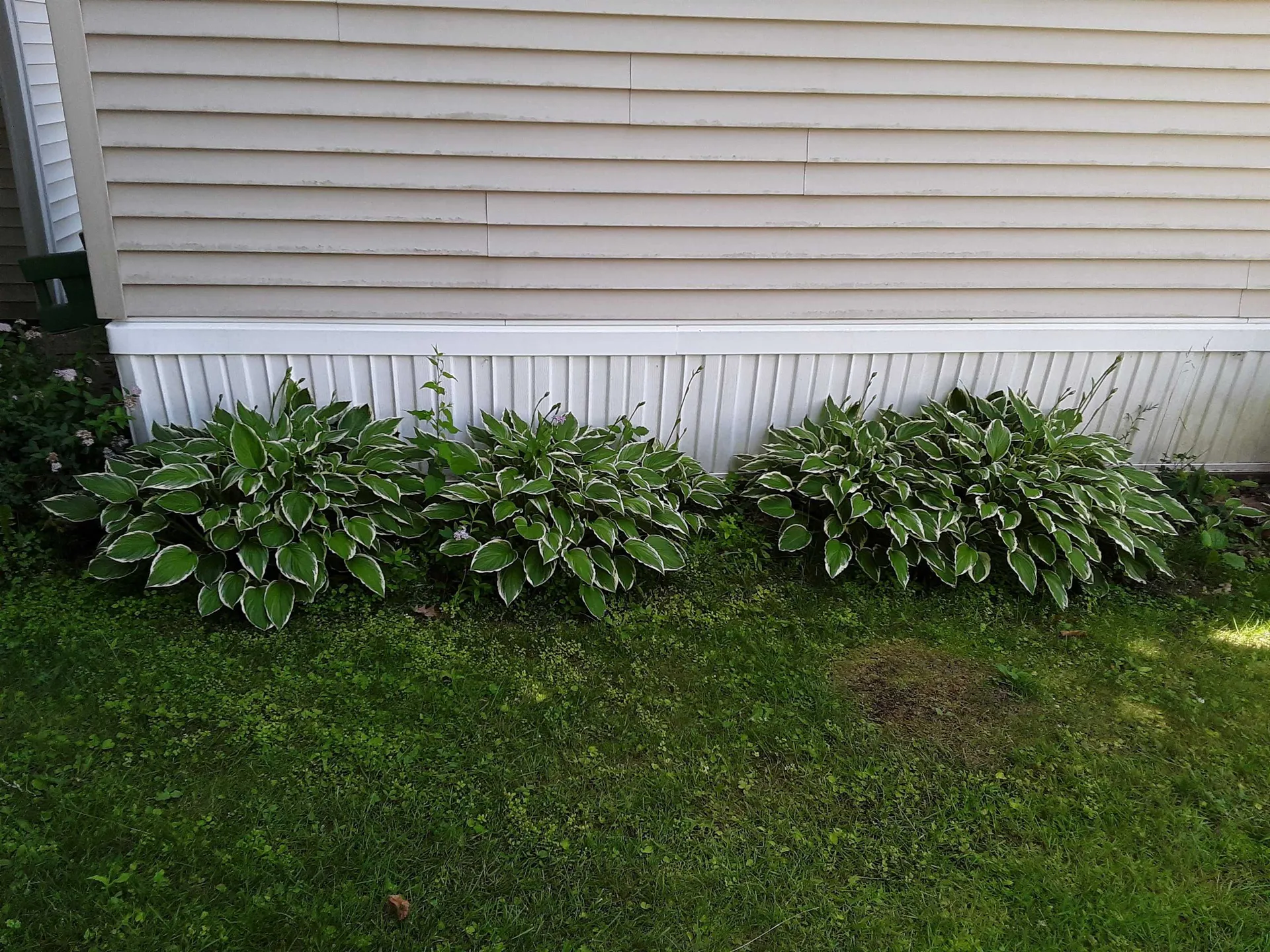 55 Lower B Street Lebanon NH 03766