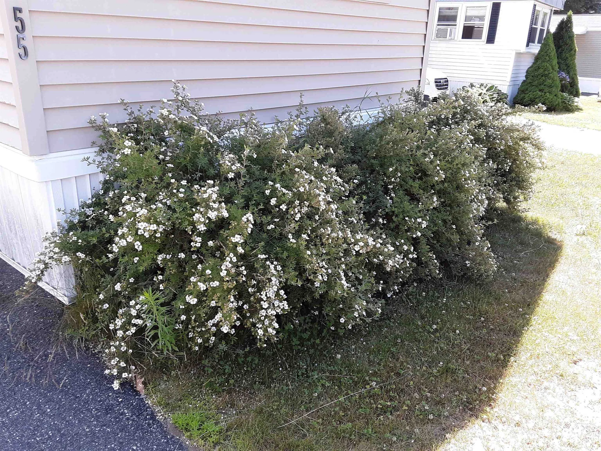 55 Lower B Street Lebanon NH 03766