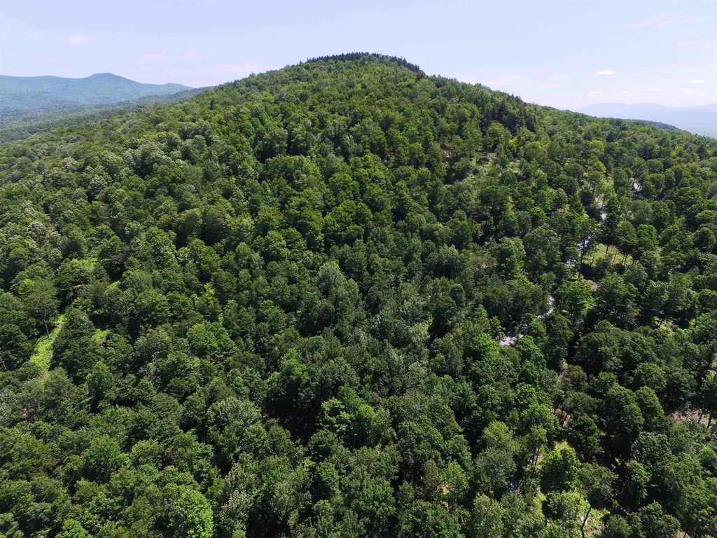 3410 Us Route 4 Mendon VT 05701