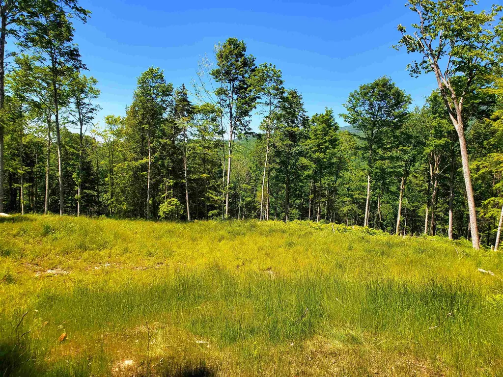 3410 Us Route 4 Mendon VT 05701