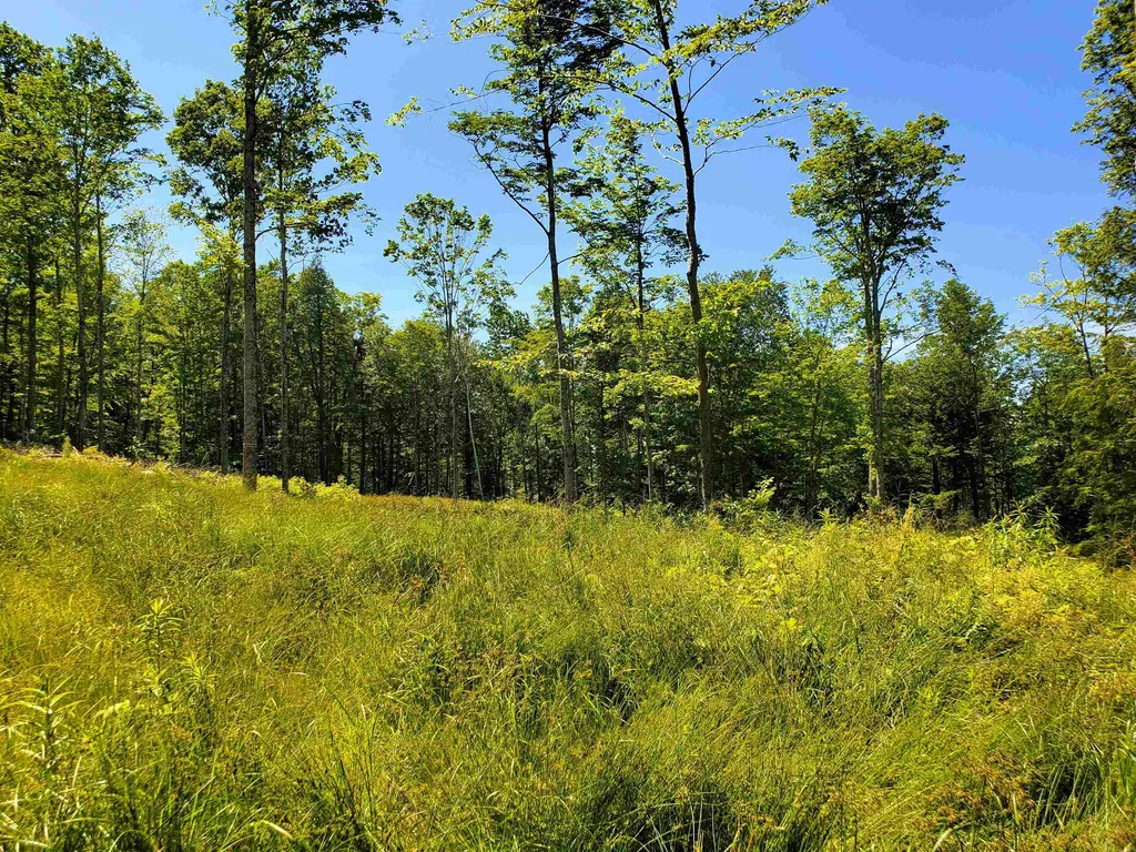 3410 Us Route 4 Mendon VT 05701