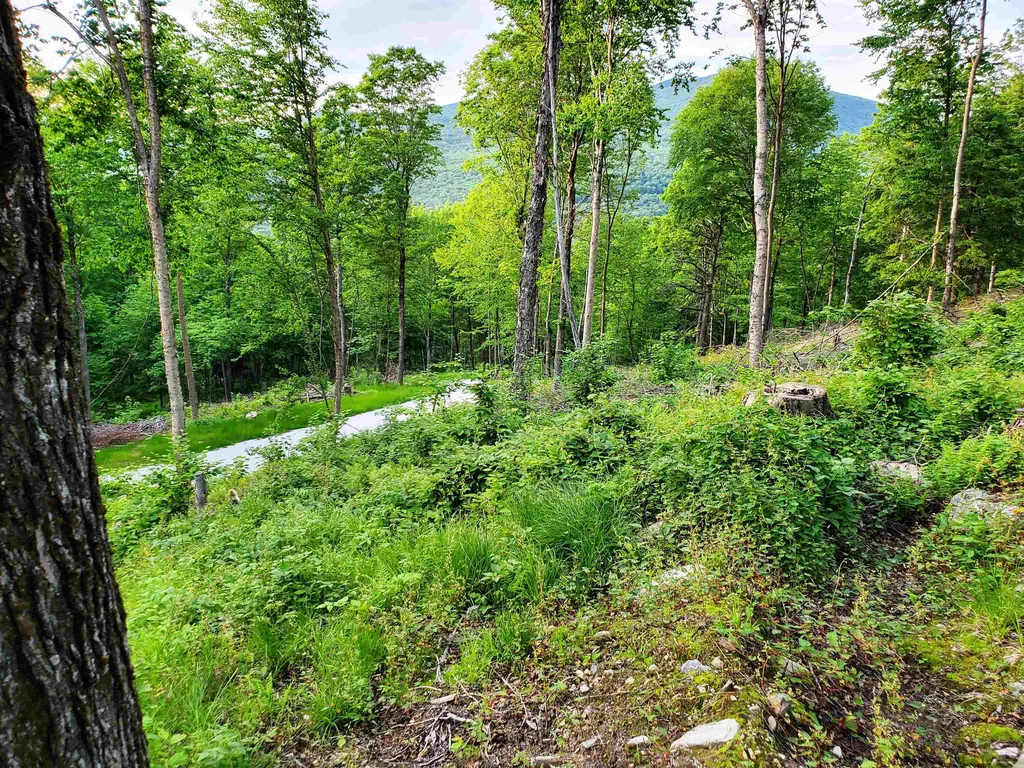 3410 Us Route 4 Mendon VT 05701