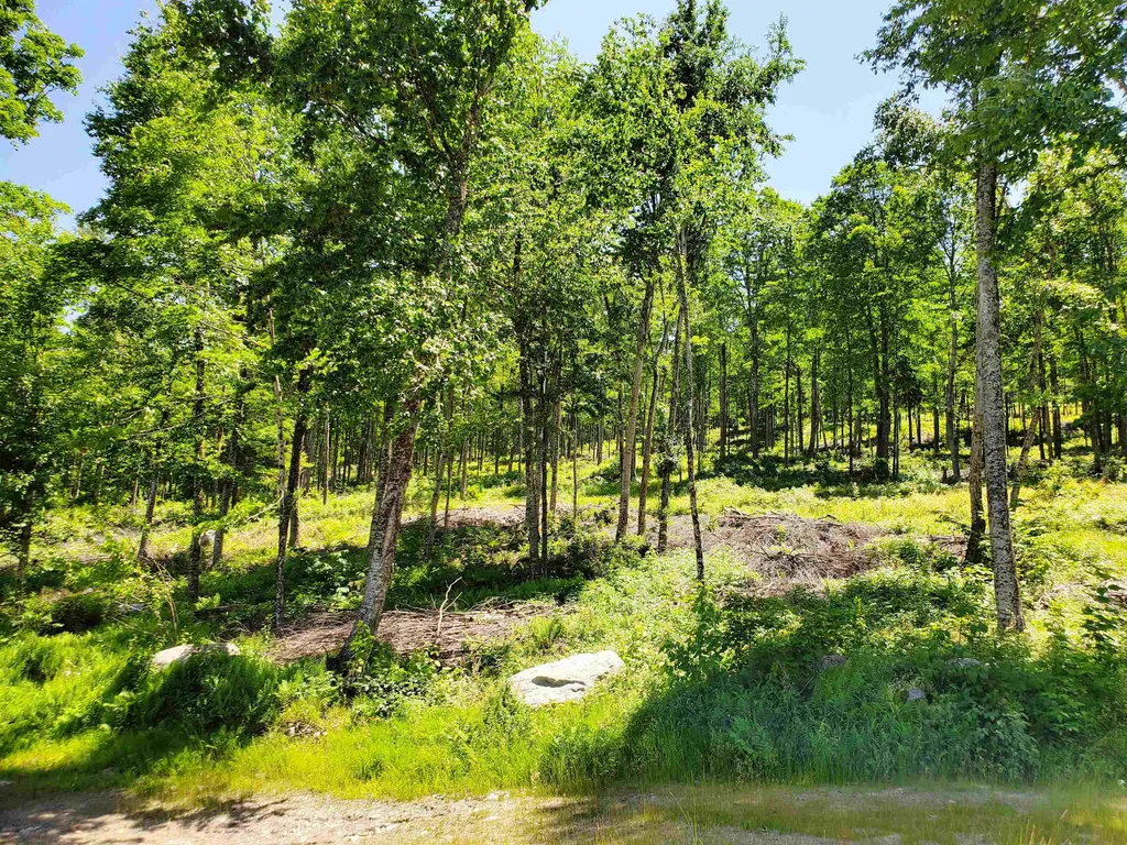 3410 Us Route 4 Mendon VT 05701