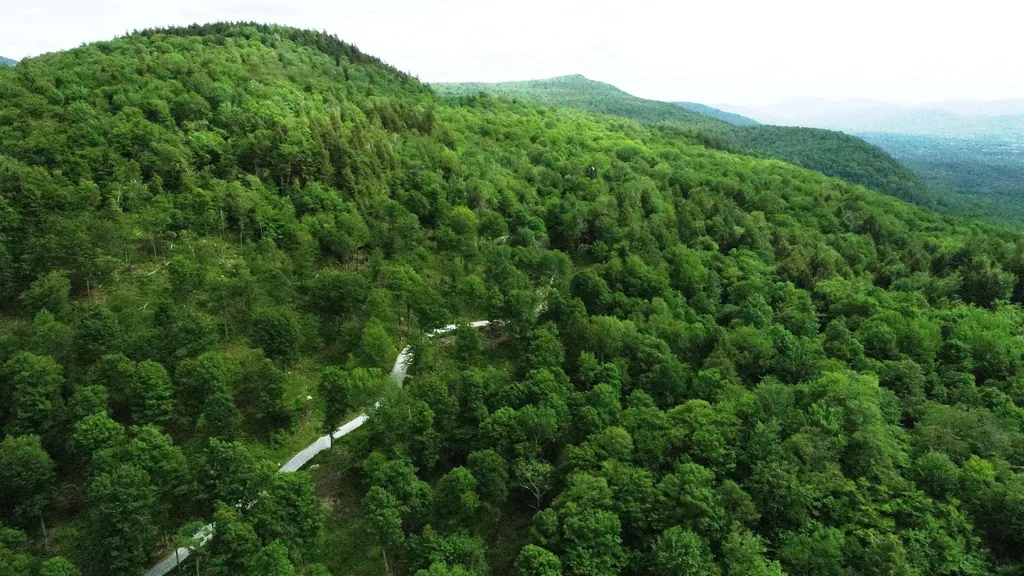 3410 Us Route 4 Mendon VT 05701