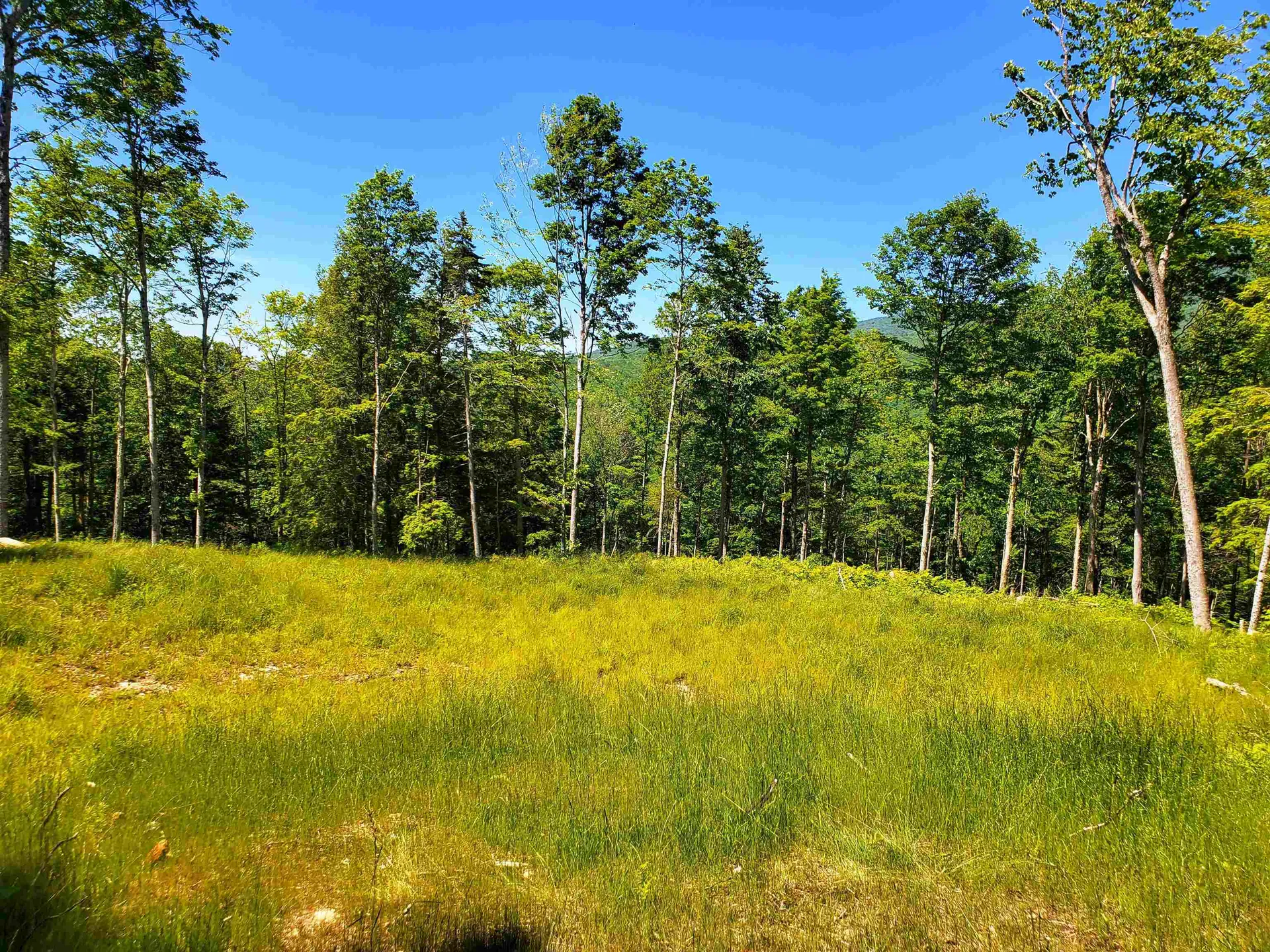3410 Us Route 4 Mendon VT 05701
