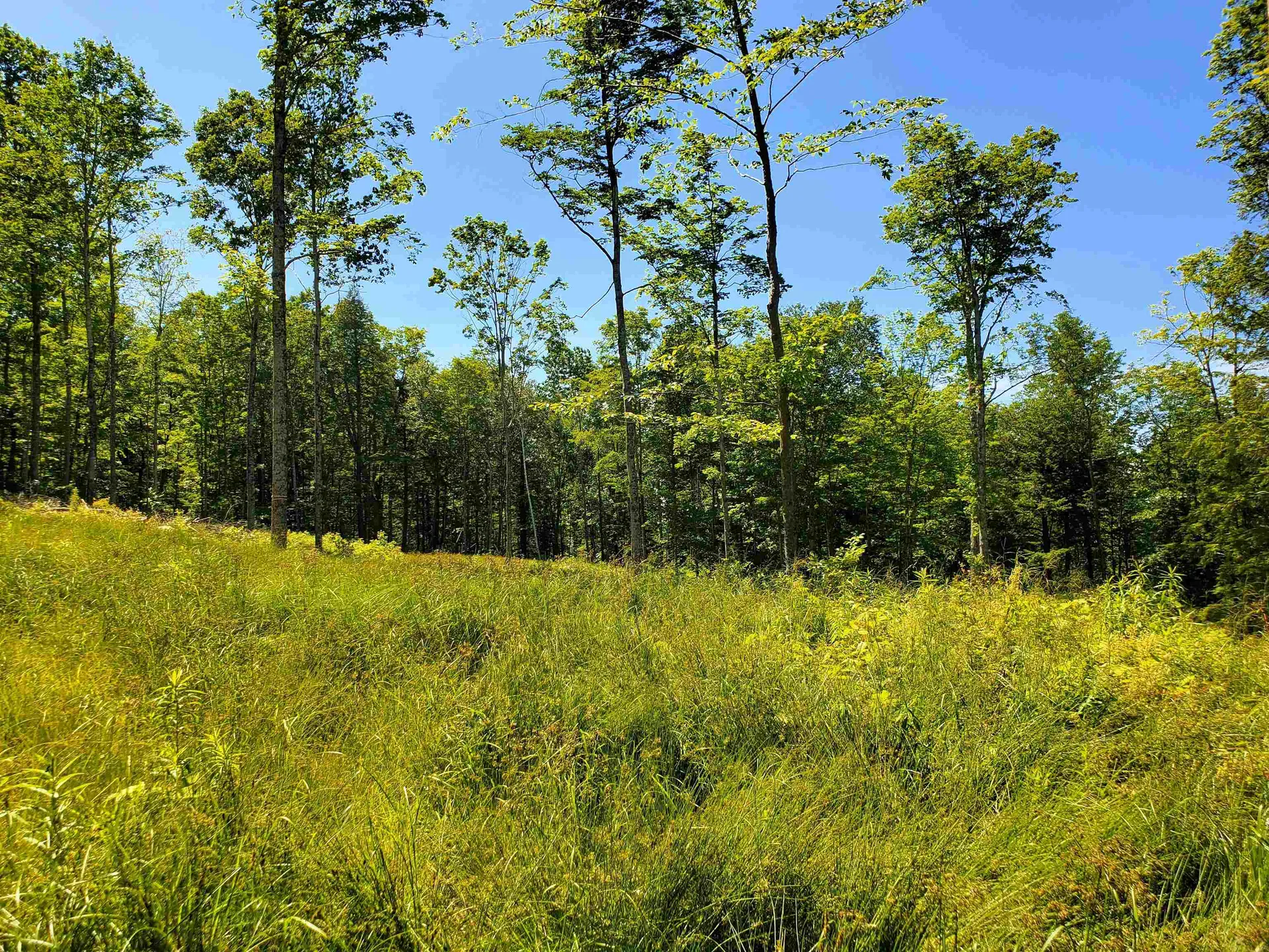 3410 Us Route 4 Mendon VT 05701