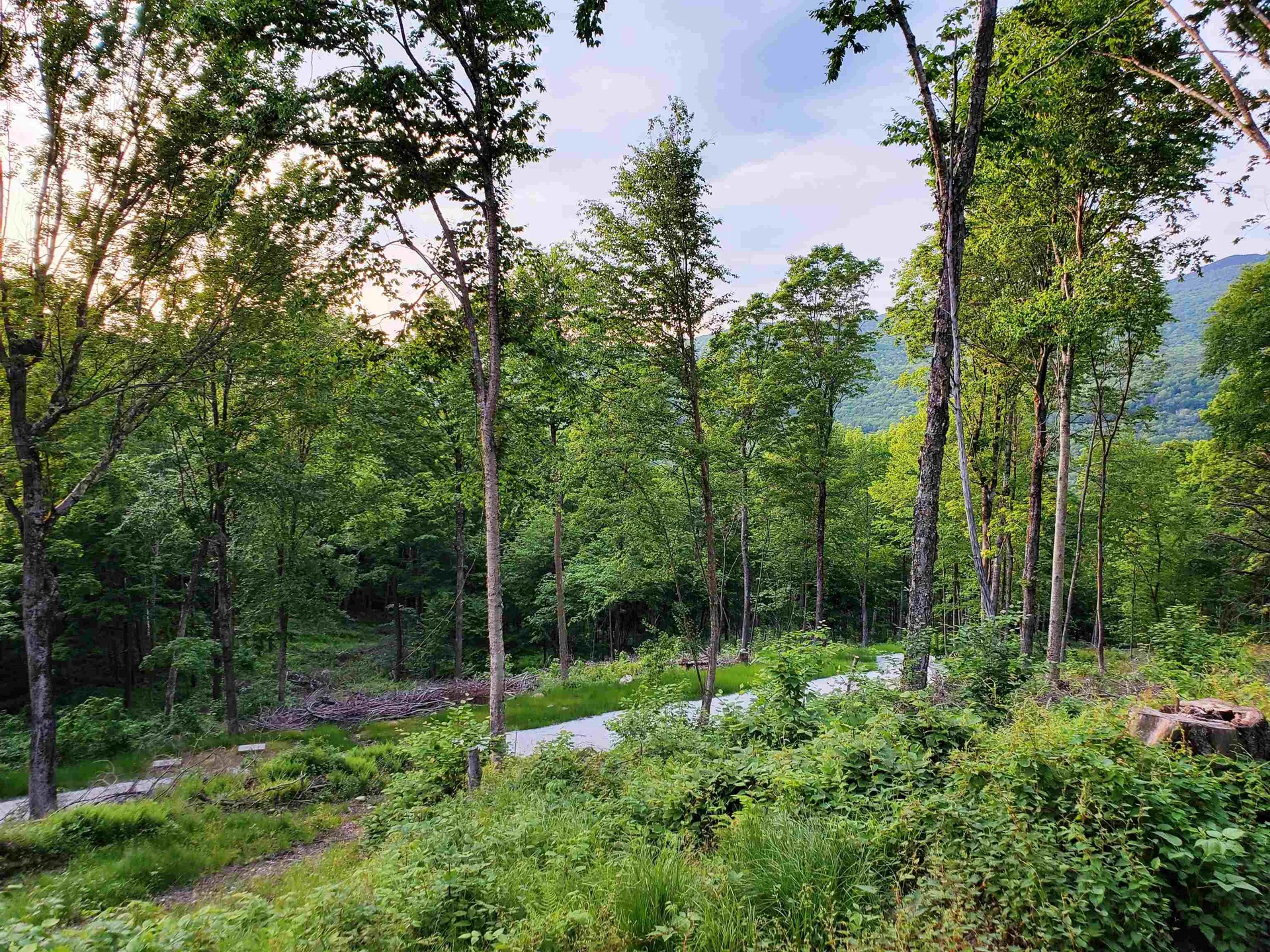 3410 Us Route 4 Mendon VT 05701