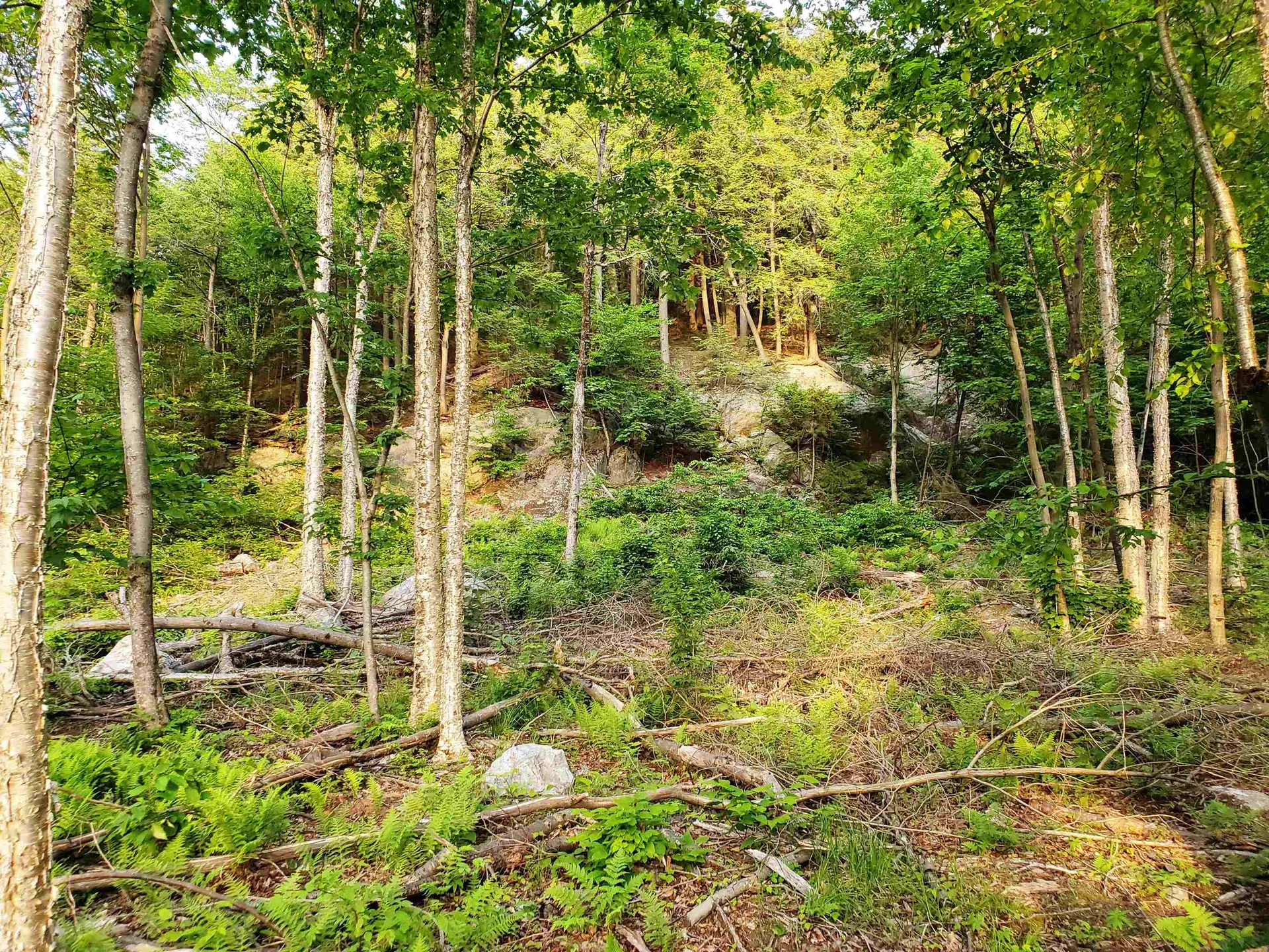 3410 Us Route 4 Mendon VT 05701