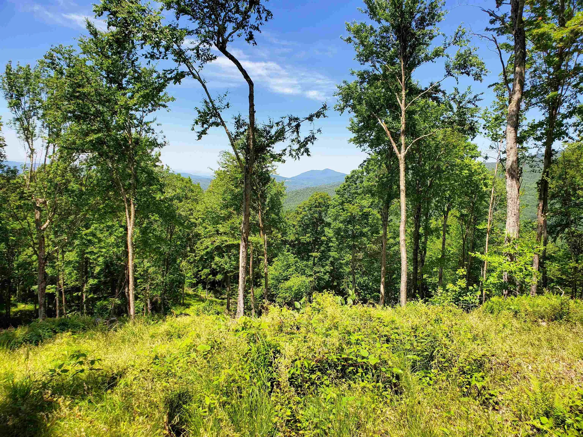 3410 Us Route 4 Mendon VT 05701