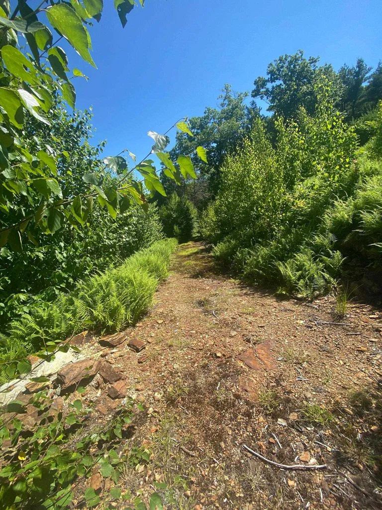 405 Mountain Road Lyndeborough NH 03082