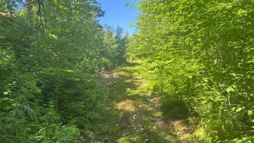 405 Mountain Road Lyndeborough NH 03082
