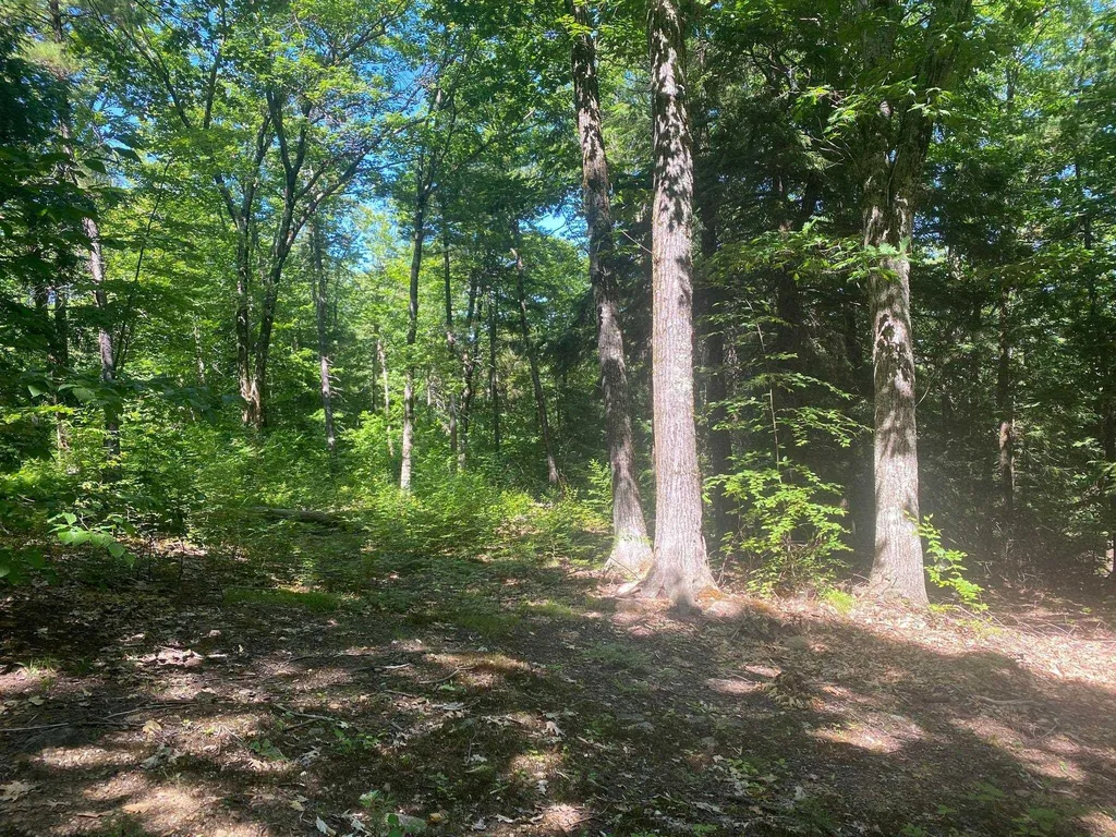 405 Mountain Road Lyndeborough NH 03082