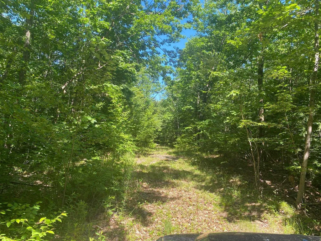 405 Mountain Road Lyndeborough NH 03082