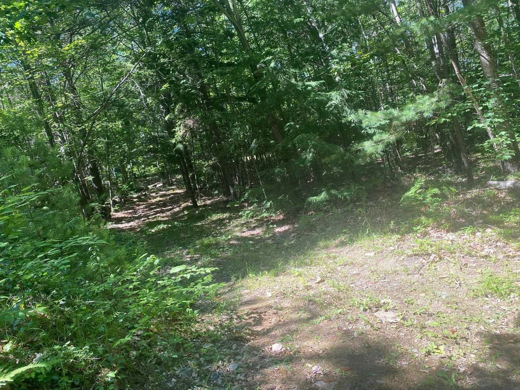 405 Mountain Road Lyndeborough NH 03082