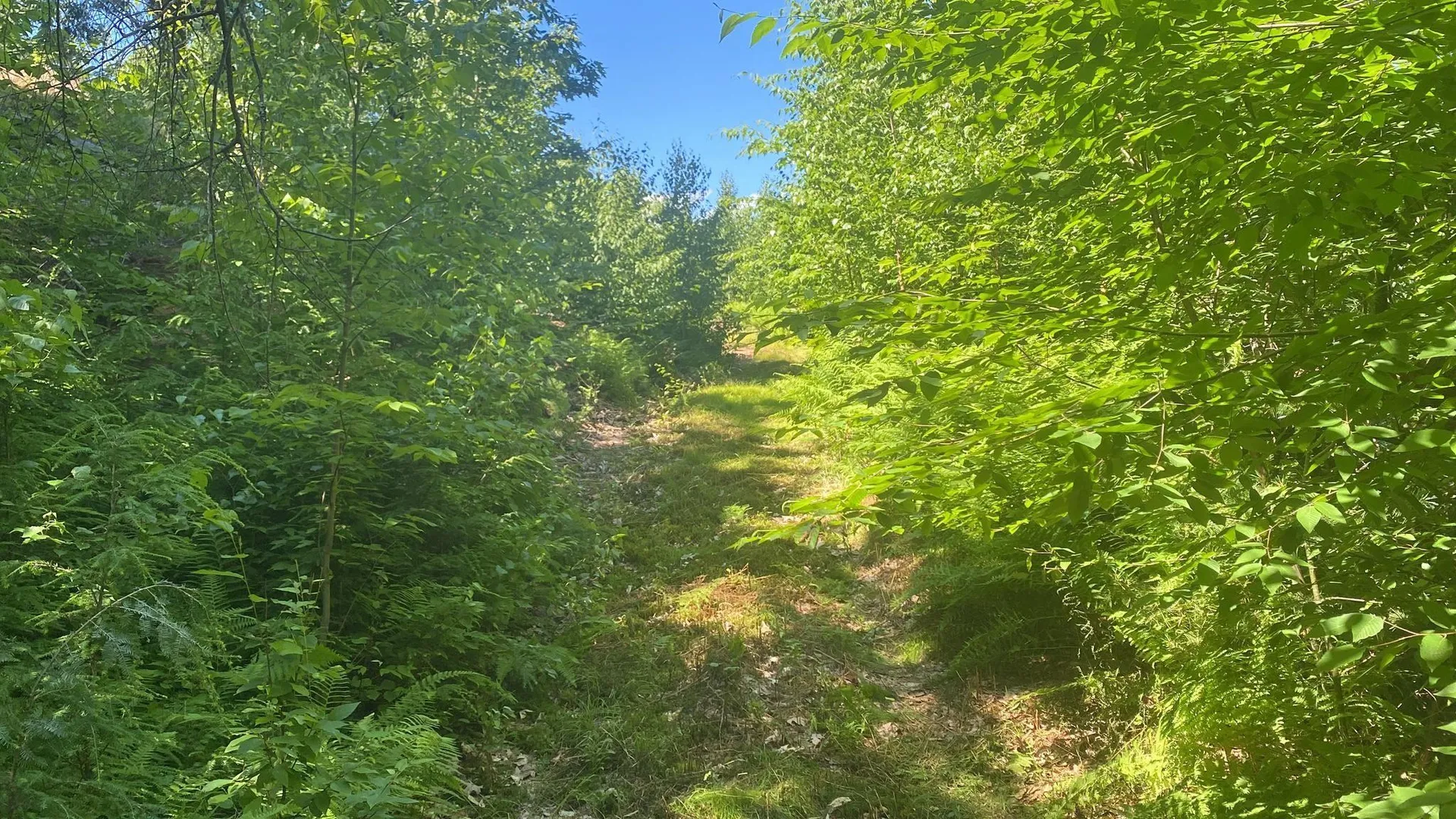 405 Mountain Road Lyndeborough NH 03082