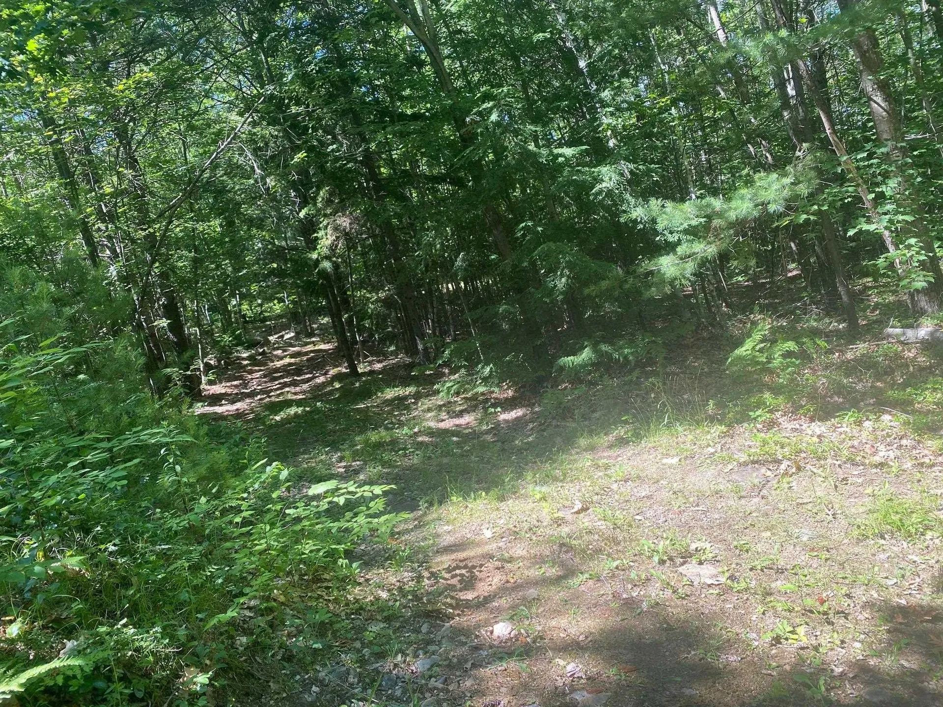 405 Mountain Road Lyndeborough NH 03082