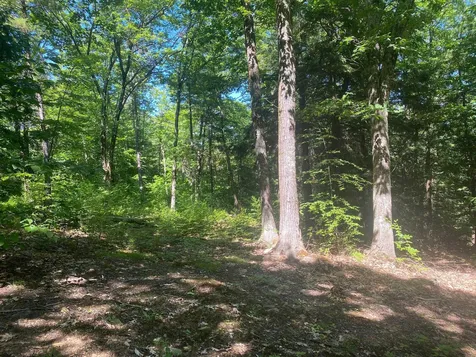 405 Mountain Road Lyndeborough NH 03082