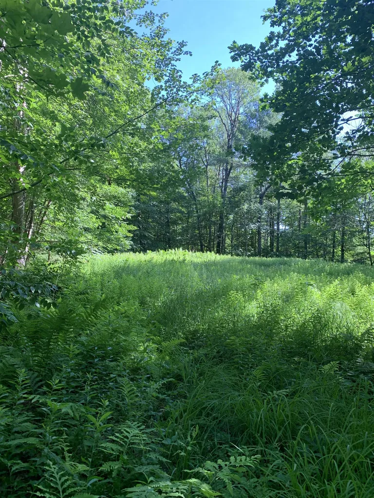 101 Youngs Hill Road Loudon NH 03307