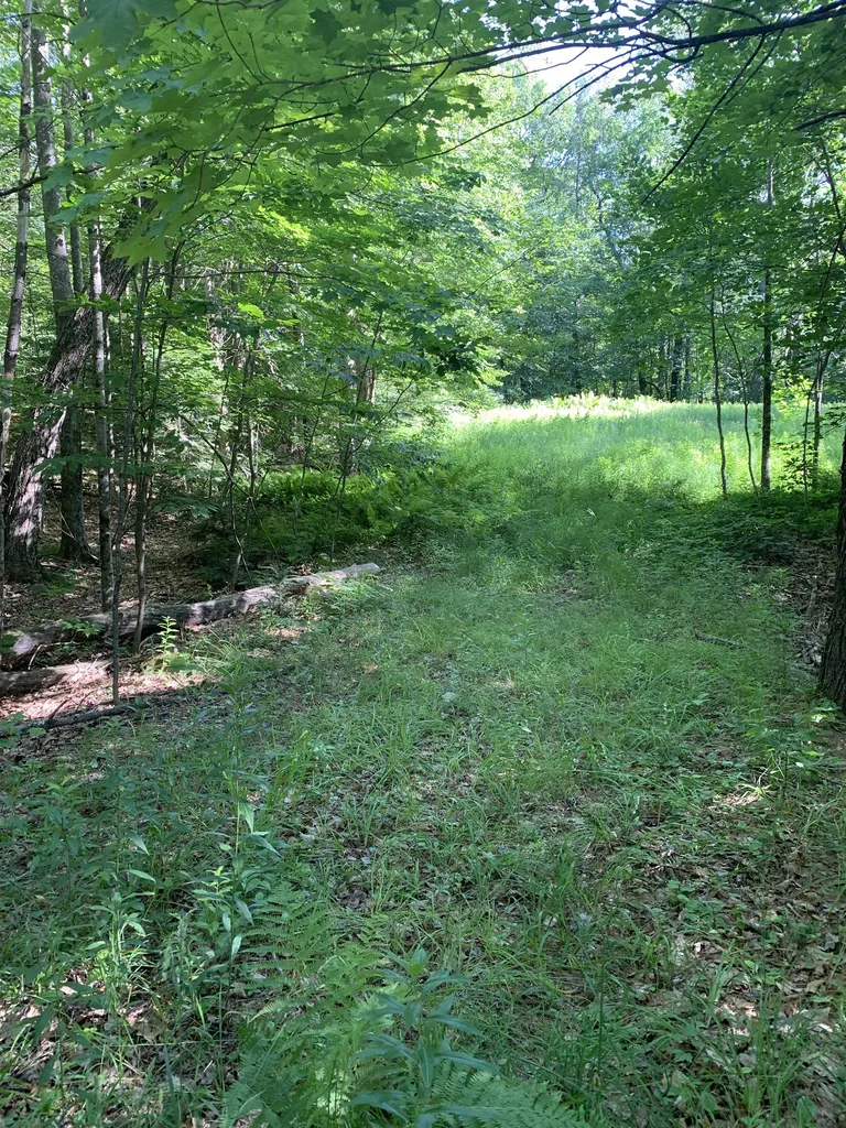 101 Youngs Hill Road Loudon NH 03307