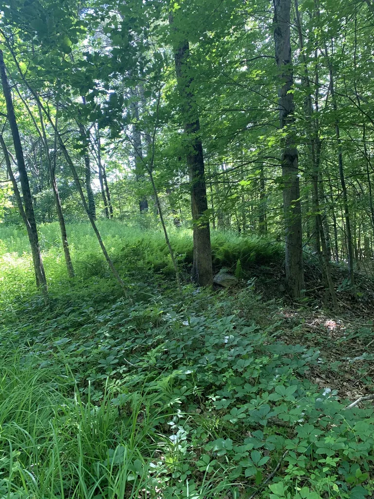 101 Youngs Hill Road Loudon NH 03307