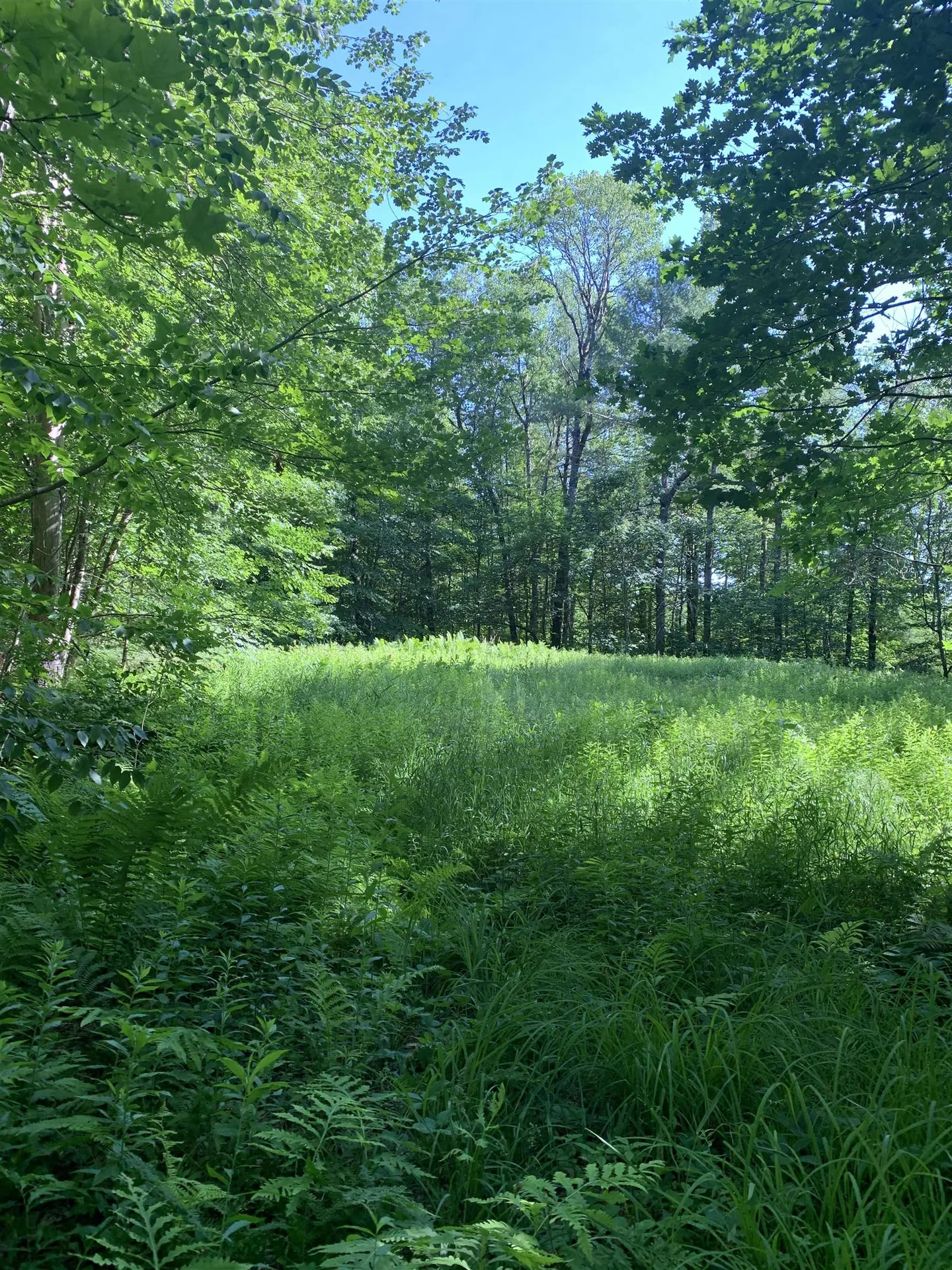 101 Youngs Hill Road Loudon NH 03307