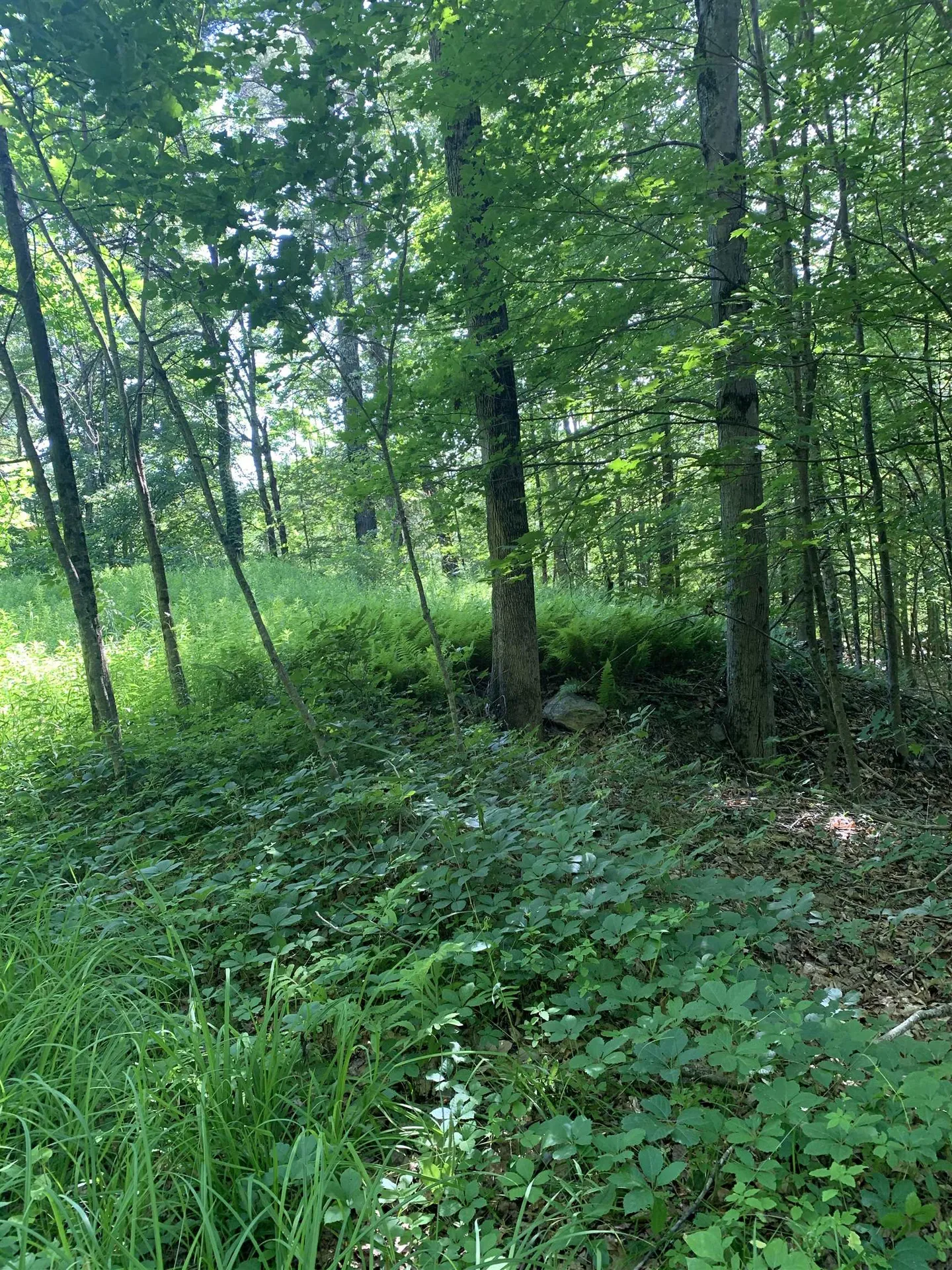 101 Youngs Hill Road Loudon NH 03307