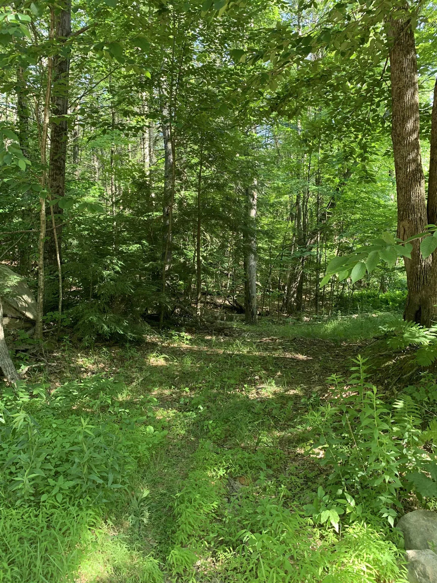 101 Youngs Hill Road Loudon NH 03307
