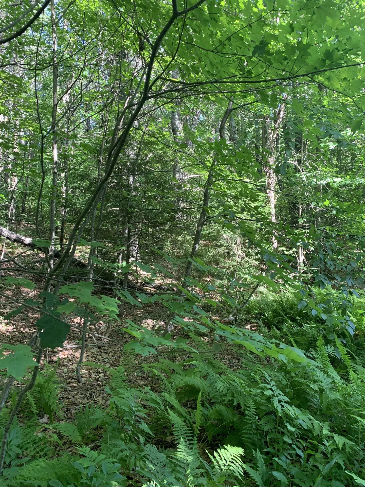 101 Youngs Hill Road Loudon NH 03307