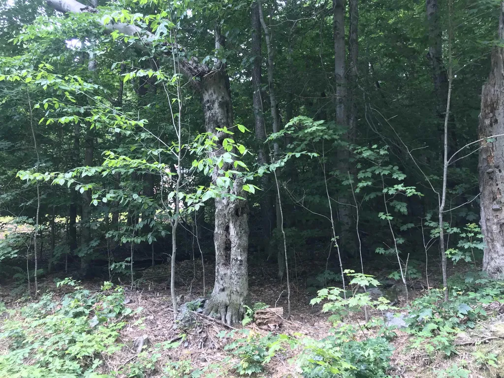 10 Upper Howes Way Wilmington VT 05363