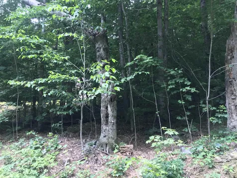 10 Upper Howes Way Wilmington VT 05363