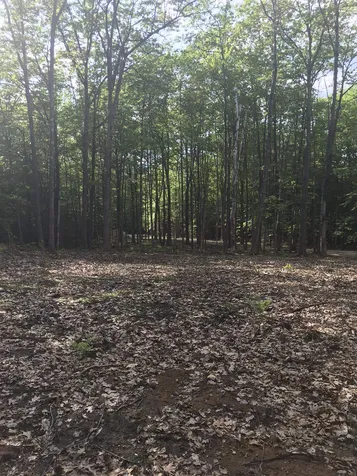 19 Schoolhouse Road Tuftonboro NH 03816