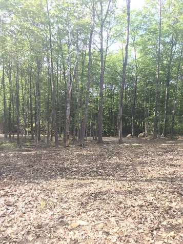 19 Schoolhouse Road Tuftonboro NH 03816