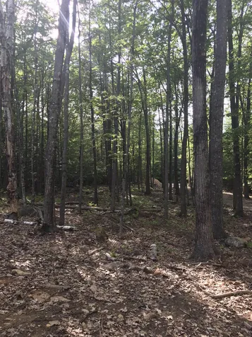 19 Schoolhouse Road Tuftonboro NH 03816