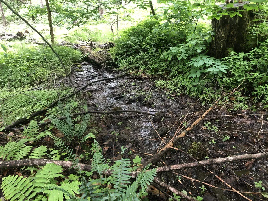 00 Coits Pond Road Cabot VT 05647