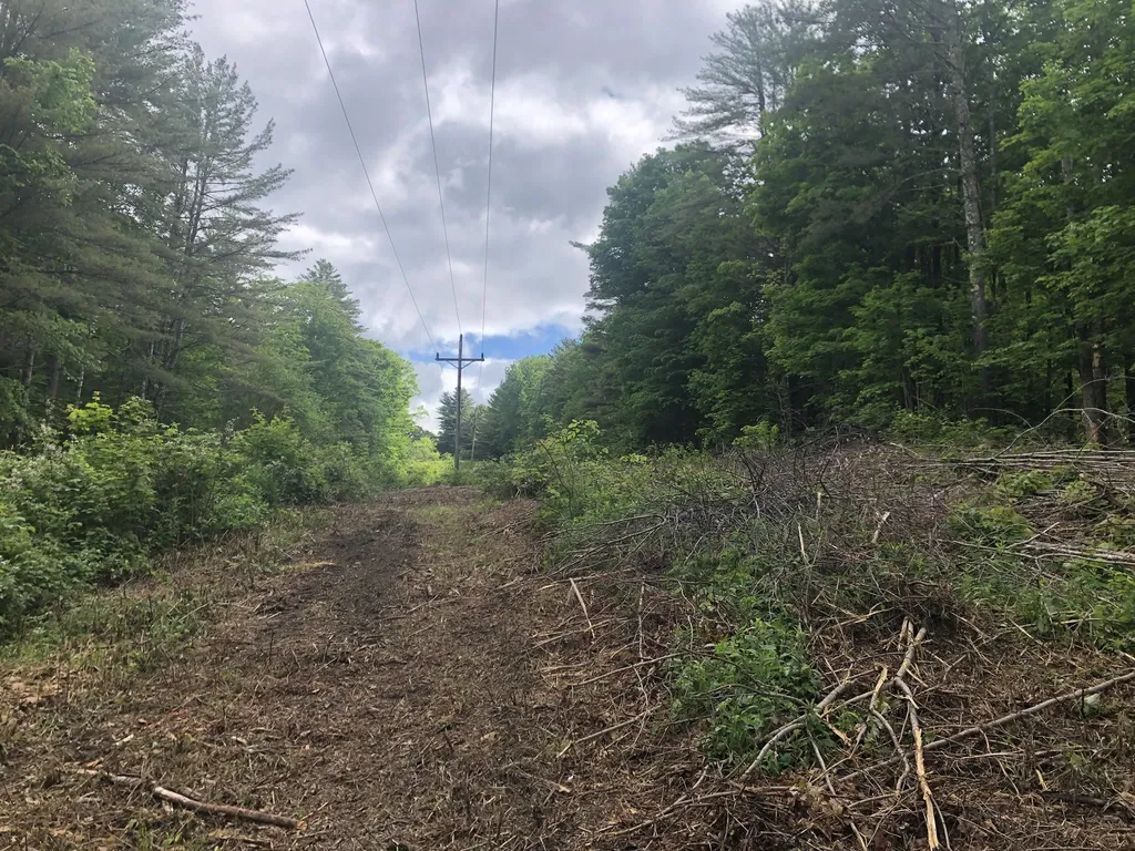 00 Coits Pond Road Cabot VT 05647