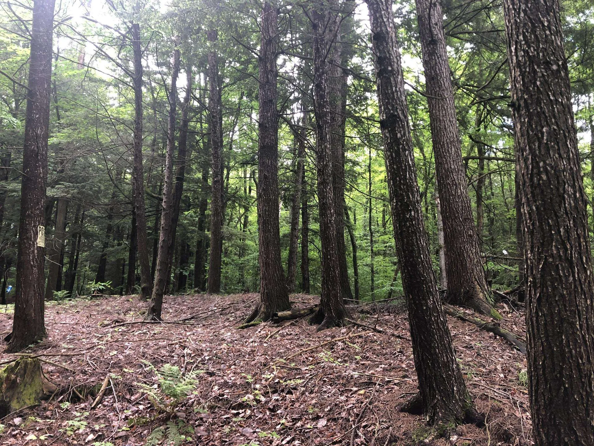 00 Coits Pond Road Cabot VT 05647