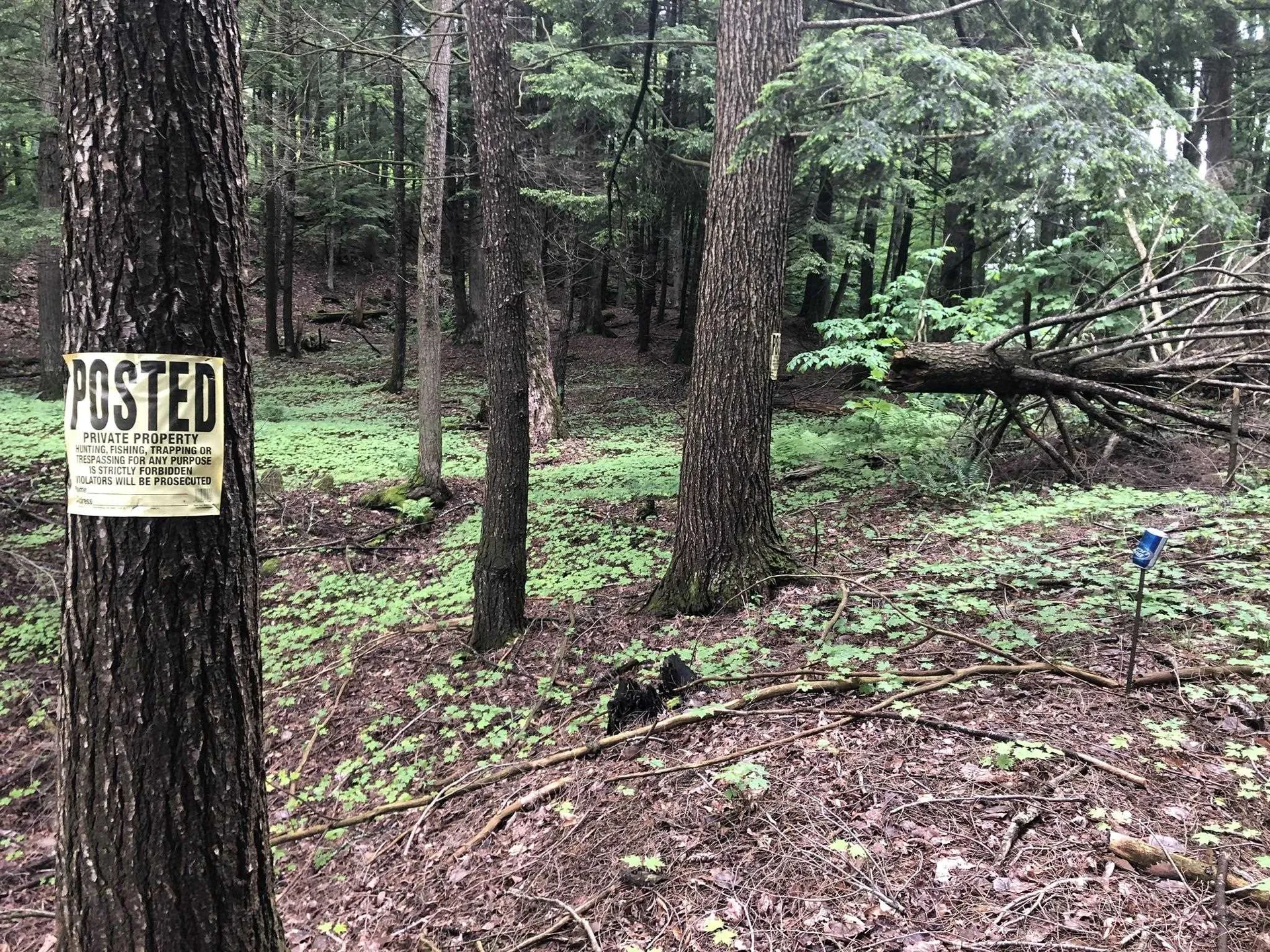 00 Coits Pond Road Cabot VT 05647