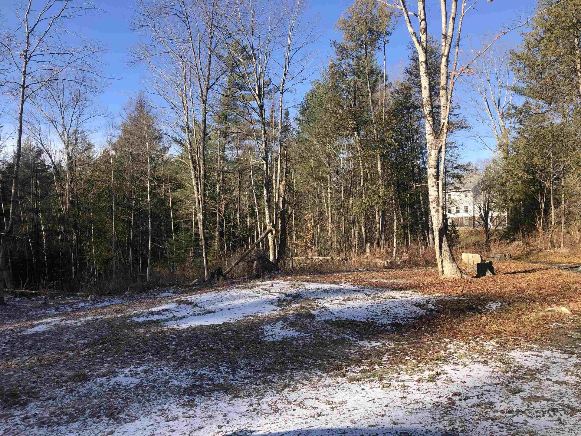 00 Coits Pond Road Cabot VT 05647