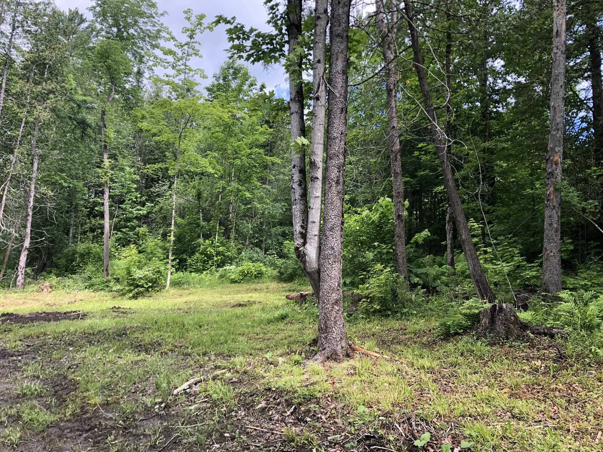 00 Coits Pond Road Cabot VT 05647