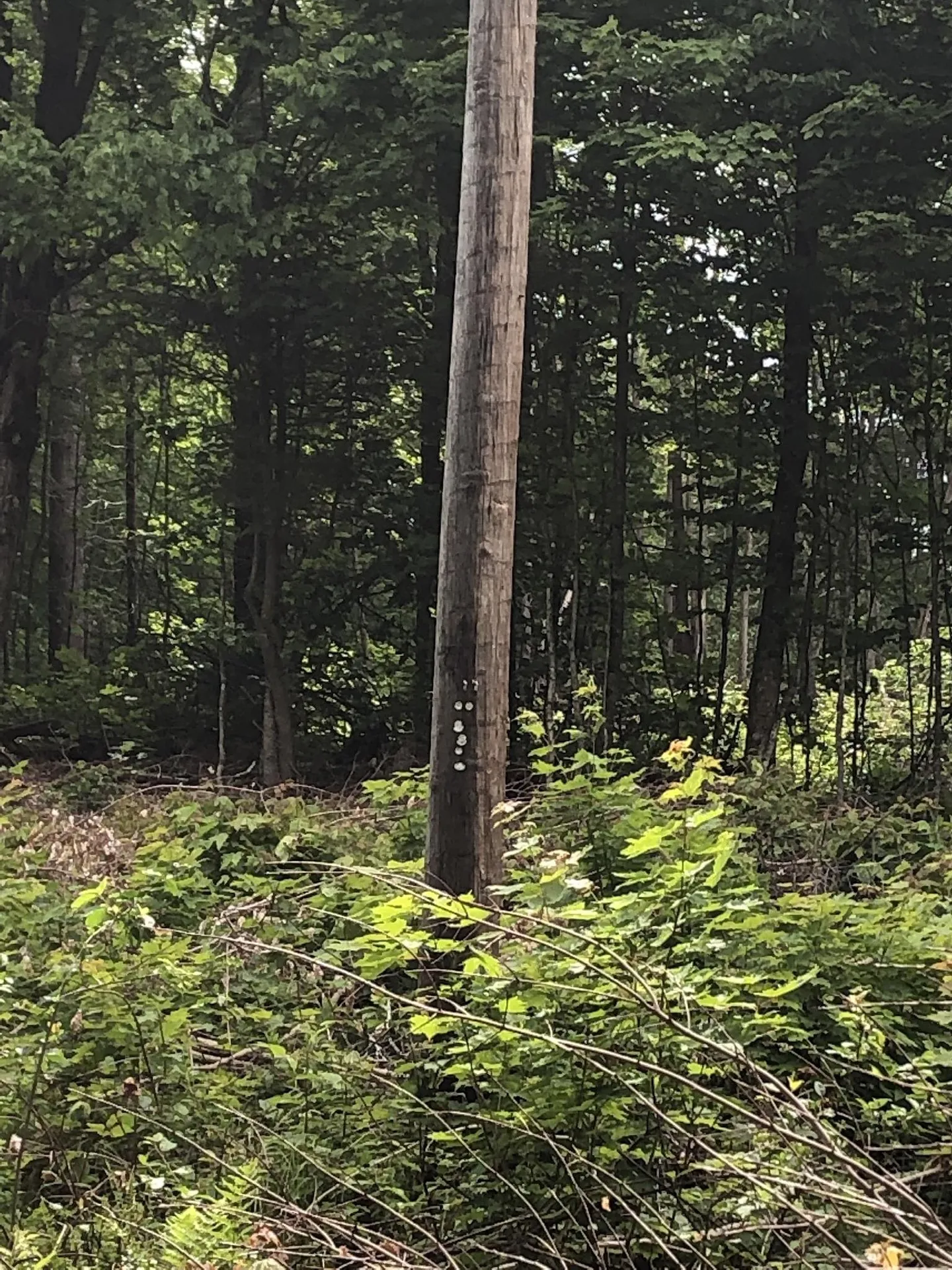 00 Coits Pond Road Cabot VT 05647
