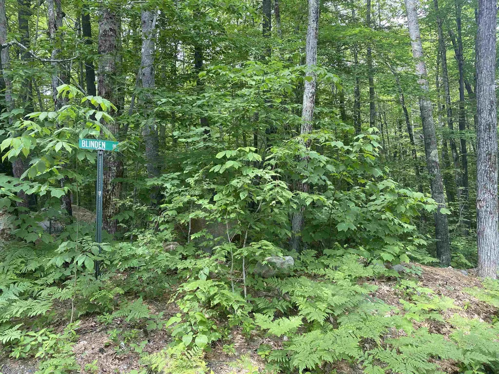 2 Blinden Drive Madison NH 03849