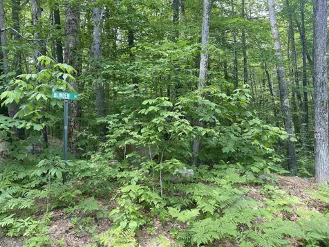 2 Blinden Drive Madison NH 03849
