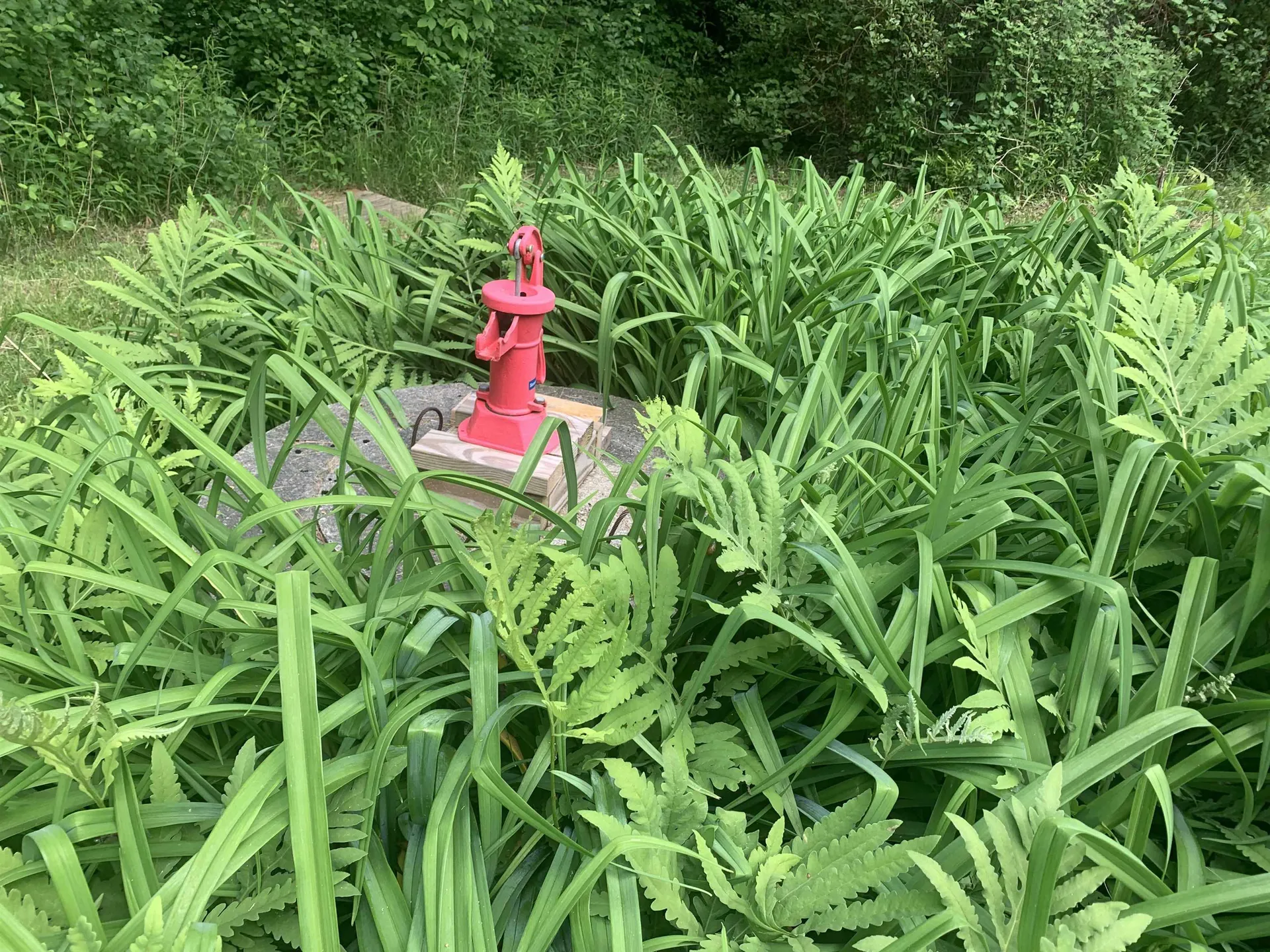 97 Pond Brook Road Hinesburg VT 05461
